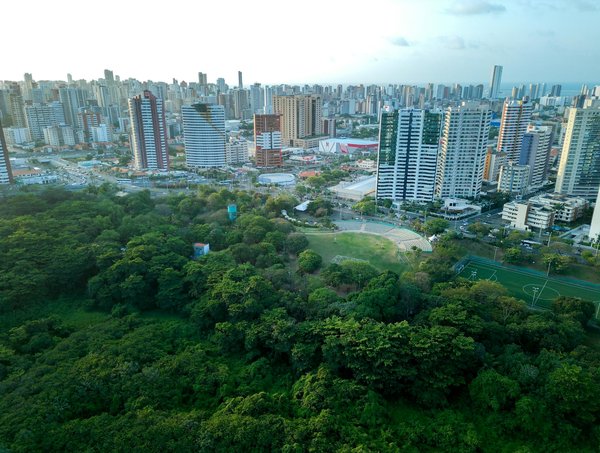 Les vins de garde : comment bien les choisir et conserver ?